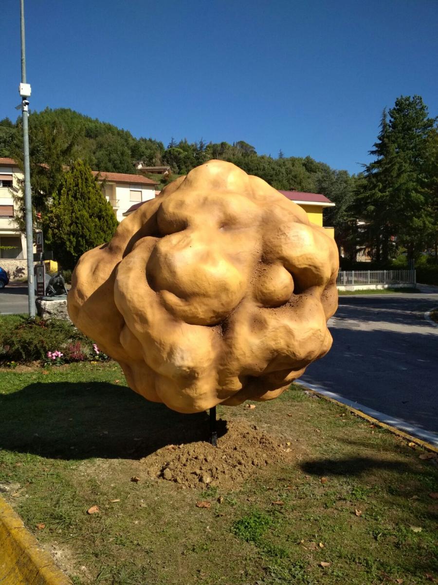 Tartufo – S.Angelo in Vado 2017