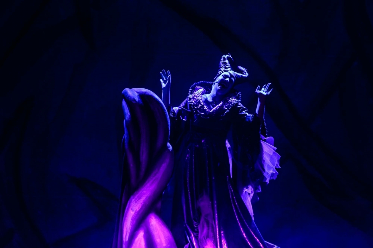 Scenografia per Musical “Malefica e la Bella Addormentata nel Bosco” Compagnia Neverland – Fano